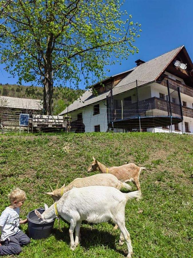 Apartmán Turisticna Kmetija Pri Andreju Bohinj Exteriér fotografie