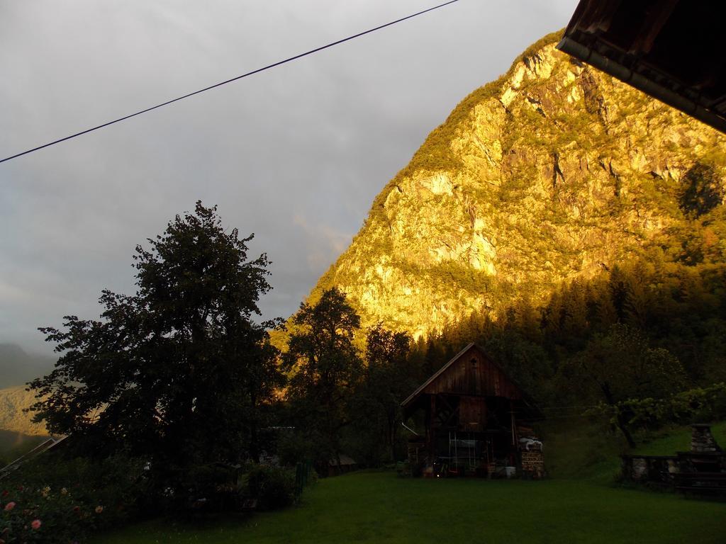 Apartmán Turisticna Kmetija Pri Andreju Bohinj Exteriér fotografie