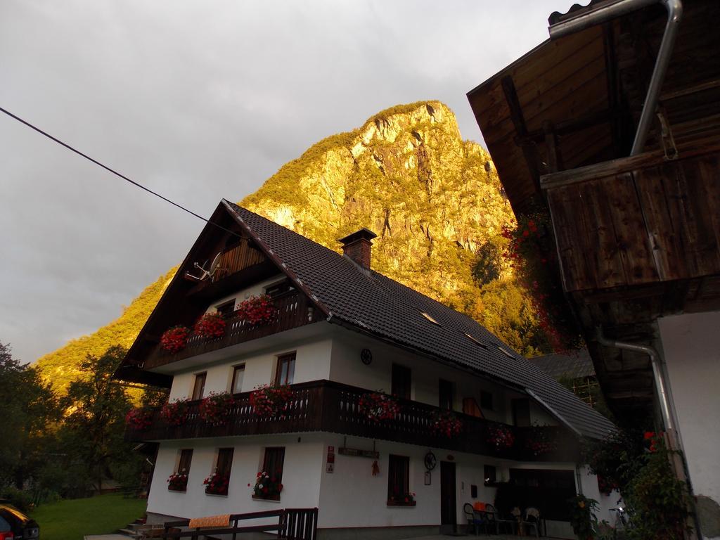 Apartmán Turisticna Kmetija Pri Andreju Bohinj Exteriér fotografie