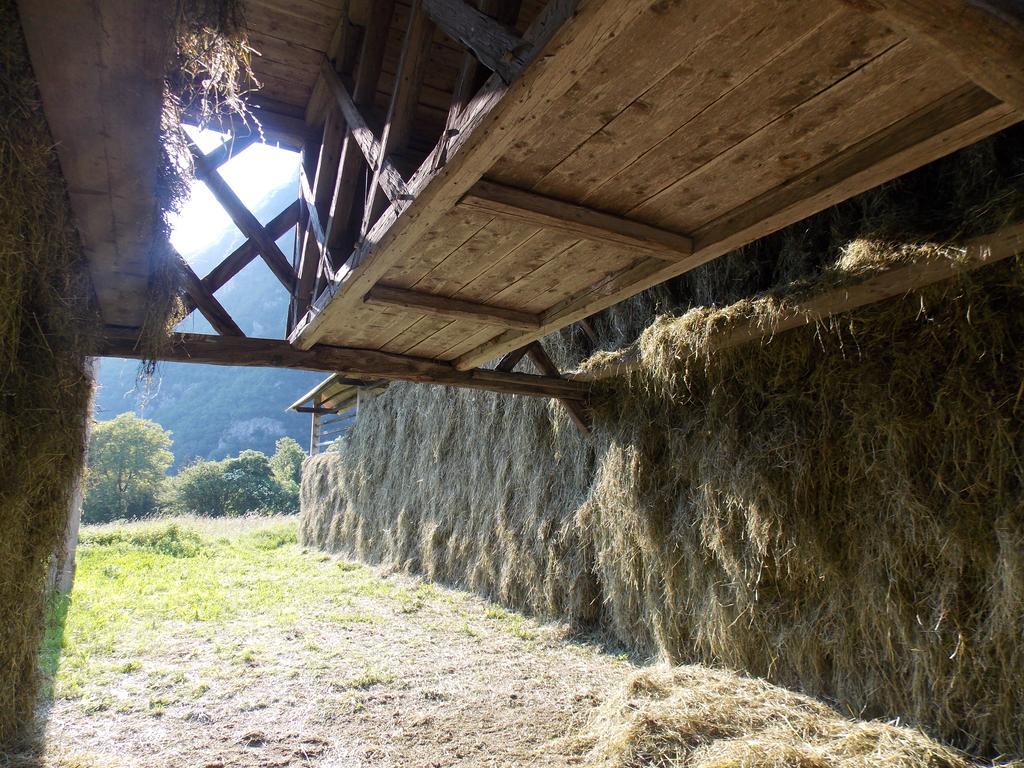 Apartmán Turisticna Kmetija Pri Andreju Bohinj Exteriér fotografie