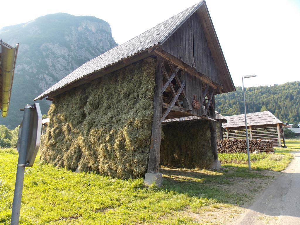 Apartmán Turisticna Kmetija Pri Andreju Bohinj Exteriér fotografie